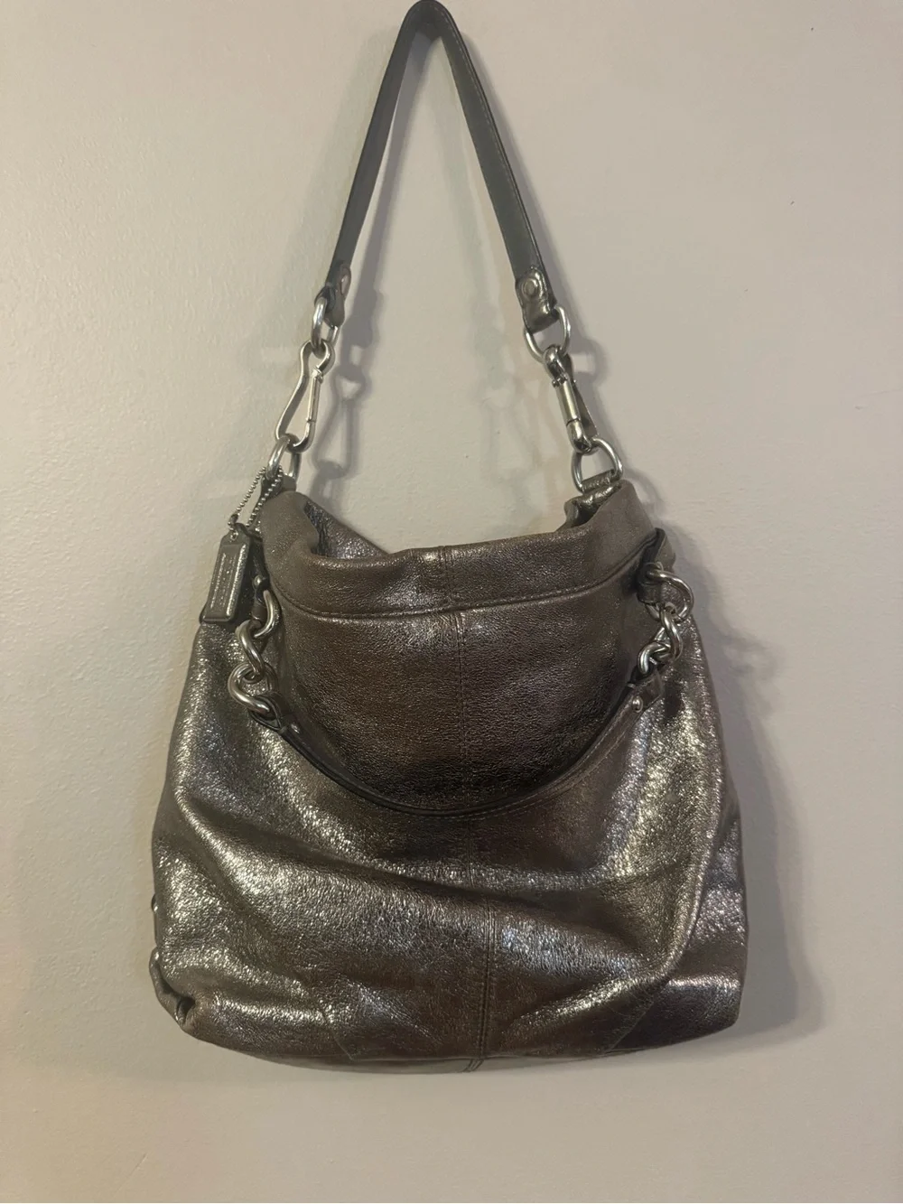 Coach Brooke Metallic Gray Hobo Shoulder Bag